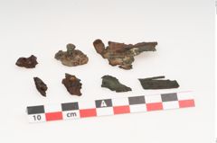 Foto von Bronzegürtelblech (NHMW-PRAE-002262)